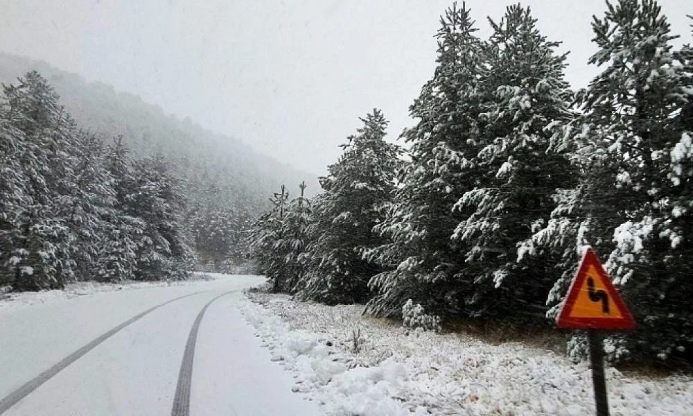 Απεγκλωβίστηκαν οι 42 επιβάτες του λεωφορείου που ακινητοποιήθηκε στο χιονοδρομικό Καϊμακτσαλάν (Βίντεο)